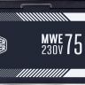Блок питания Cooler Master MWE White 750W (MPE-7501-ACABW-EU)