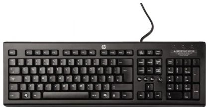 Клавиатура HP Classic Wired Keyboard черный USB