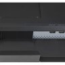 Монитор LG Gaming 24GM79G-B 24" черный
