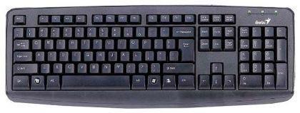 Клавиатура Genius KB110X черный USB