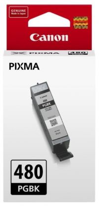 Картридж струйный Canon PGI-480 PGBK 2077C001 черный для Canon Pixma TS6140/TS8140TS/TS9140/TR7540/TR8540