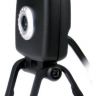 Веб-камера A4 PK-836F USB 2.0